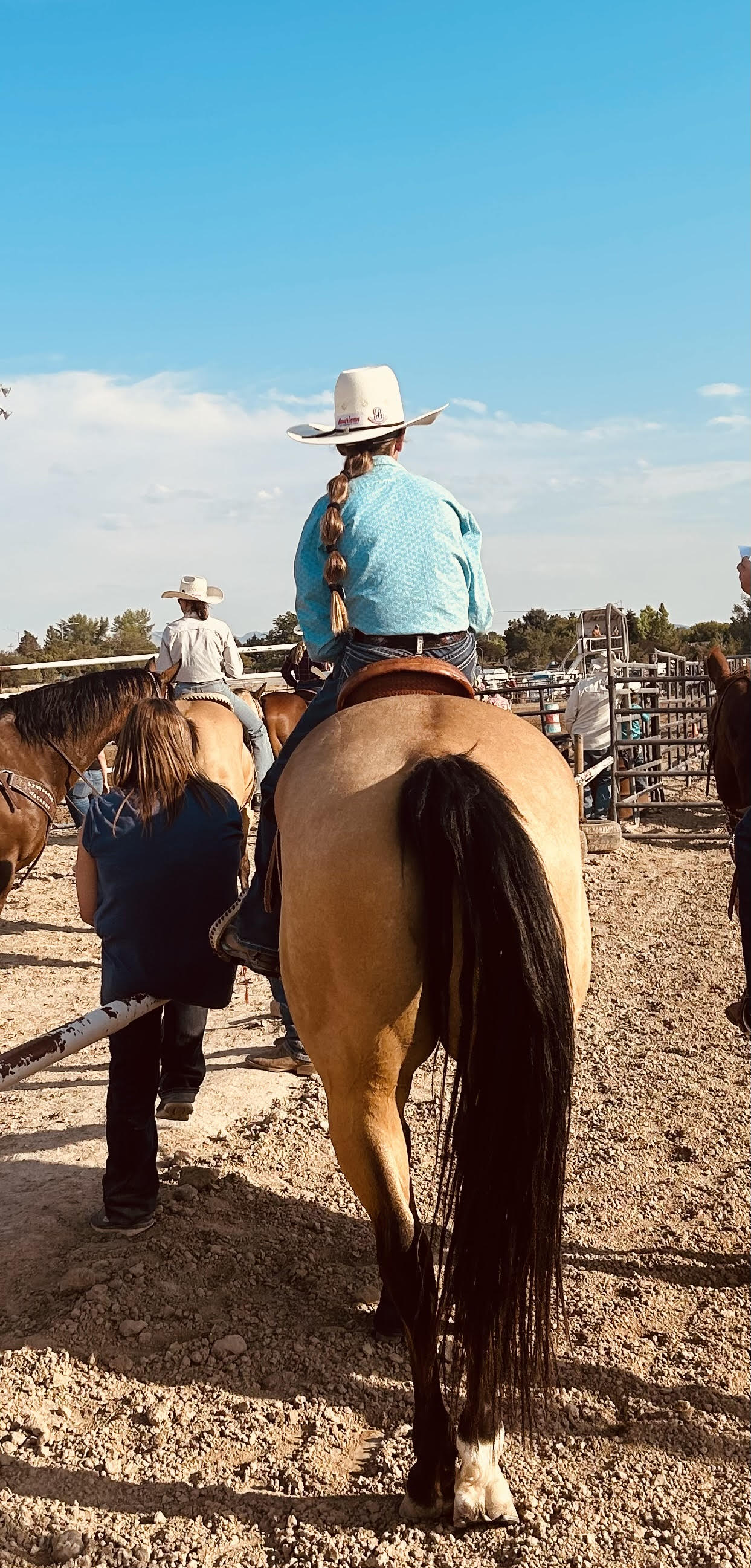 Hat Shapes and Styles