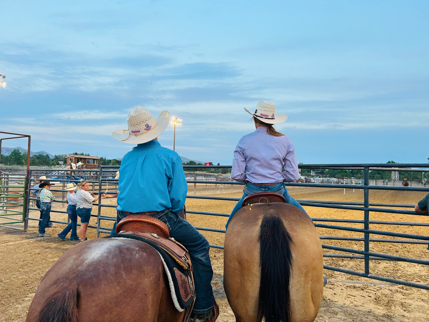 Hat Shapes and Styles