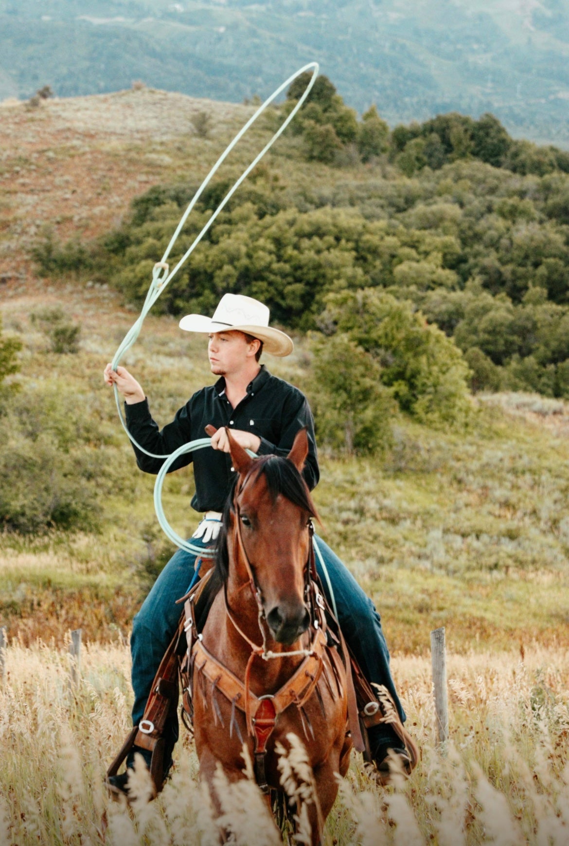 Hats Shapes and Styles